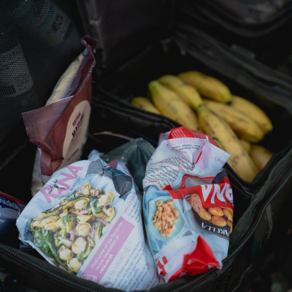 Thermal bag Nash Subterfuge for food 35L