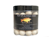 Pop Up Royal Baits Clam 15 mm