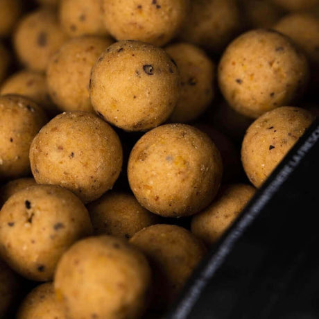Boilies Mainline Cell 4