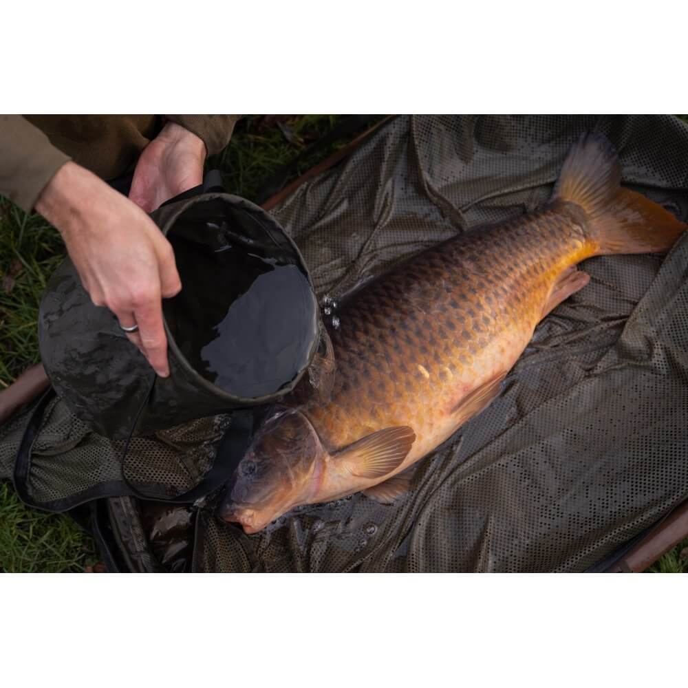 Water basket Korda Compac - Tienda Carpfishing